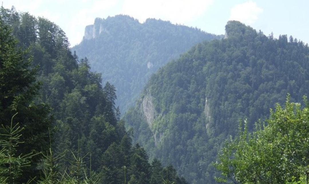 Willa "Komancza" Szczawnica Ruska Bania - Jacuzzi & Sauna Exterior photo