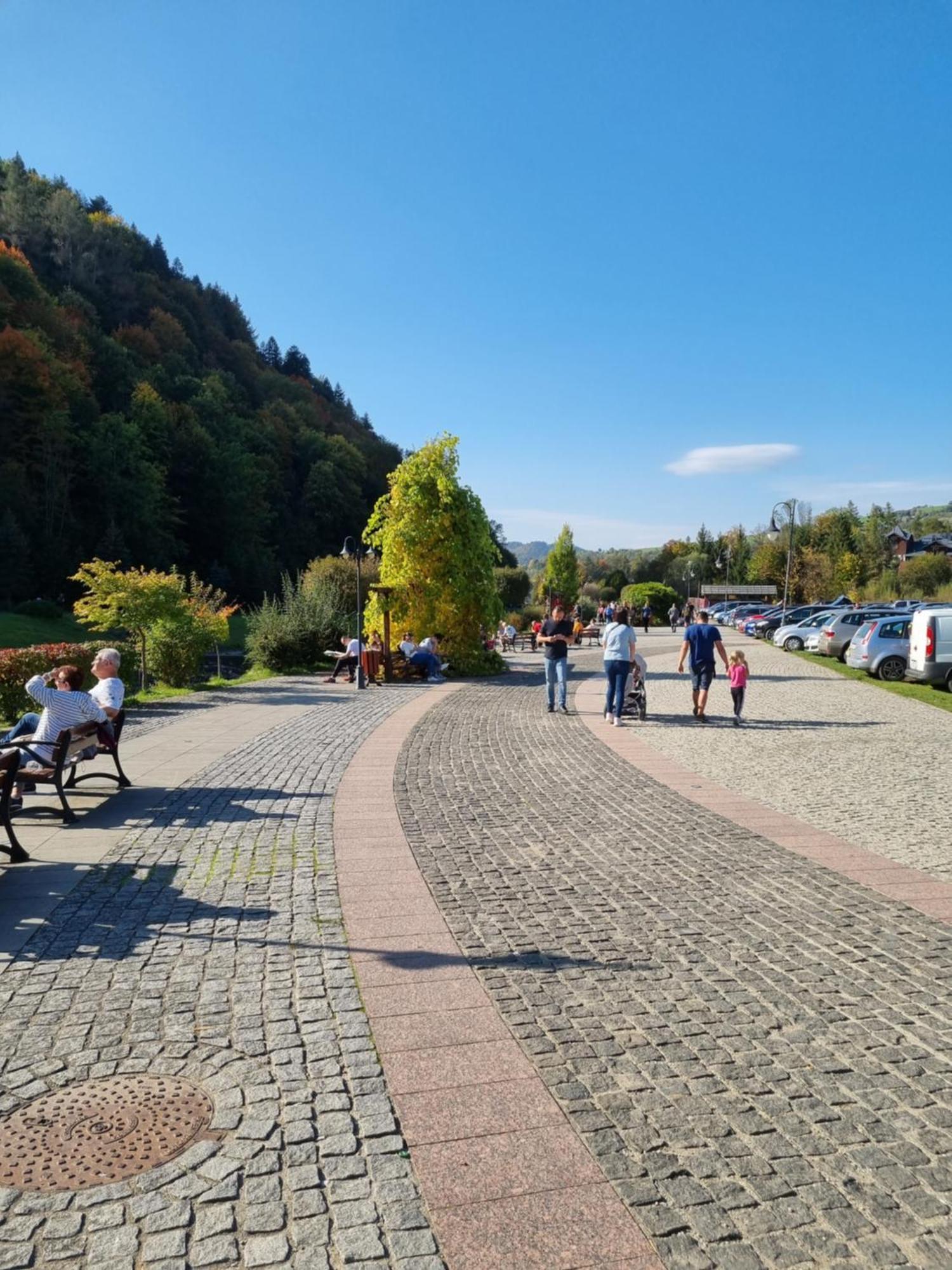 Willa "Komancza" Szczawnica Ruska Bania - Jacuzzi & Sauna Exterior photo